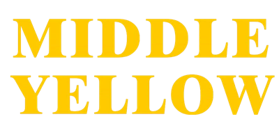 เซียะเหมินกลางเหลืองอุตสาหกรรมและการค้า จำกัด